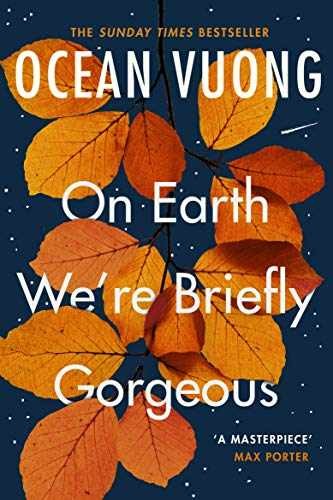 Ocean Vuong On Earth We’re Briefly Gorgeous – Paperback, by VUONG OCEAN – Good