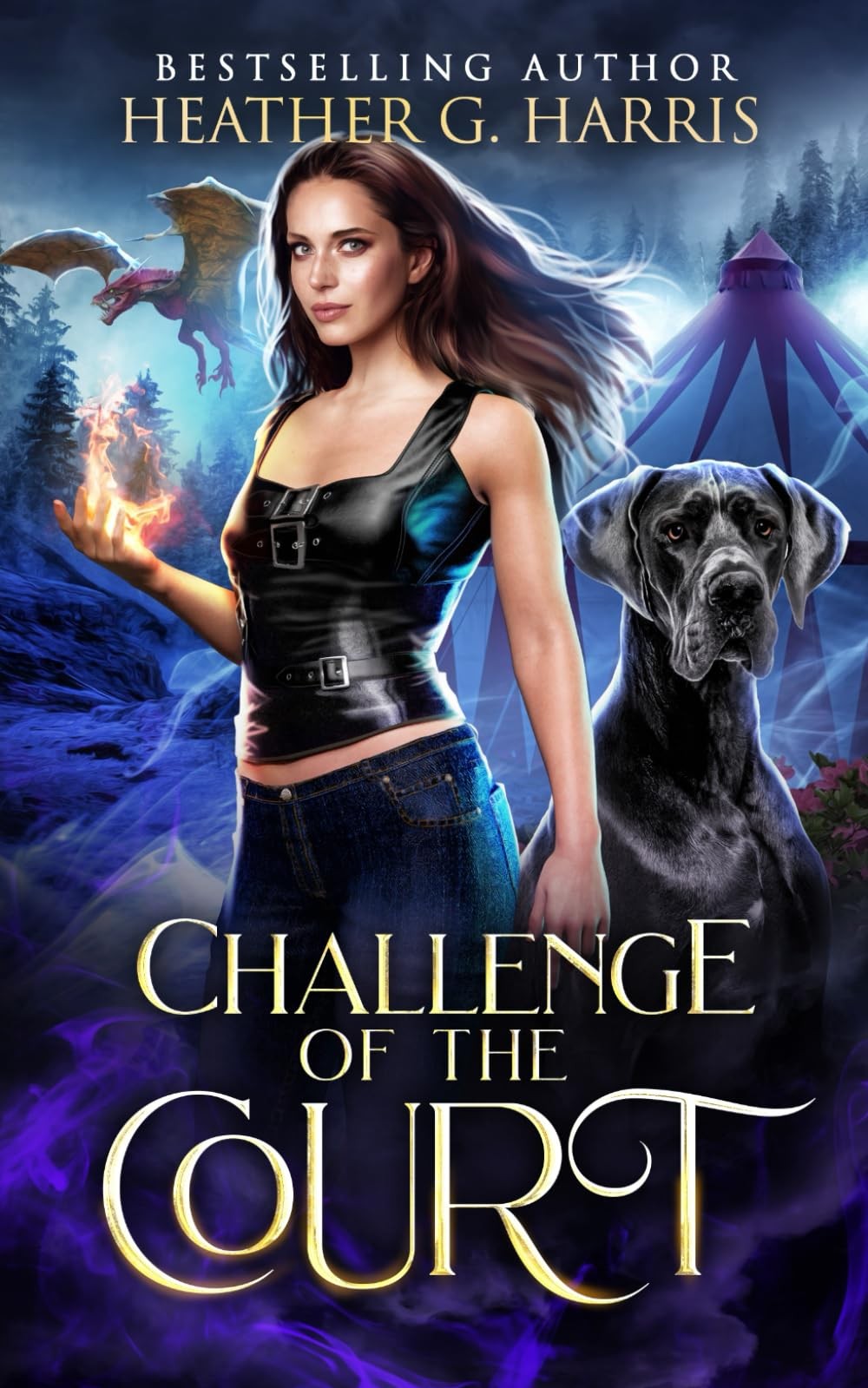 Challenge of the Court: An Urban Fantasy Novel (The Other Realm)