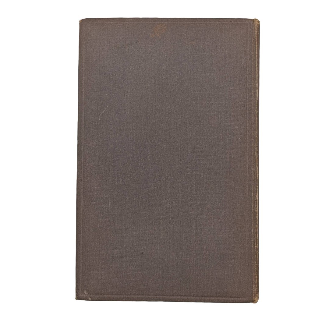 Vintage Book, Dame Wiggins, Illustrated, George Allen, 1885