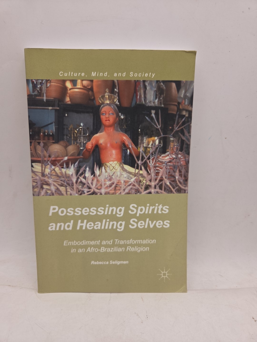Possessing Spirits and Healing Selves: Embodiment and Transformation 2014 1st ed