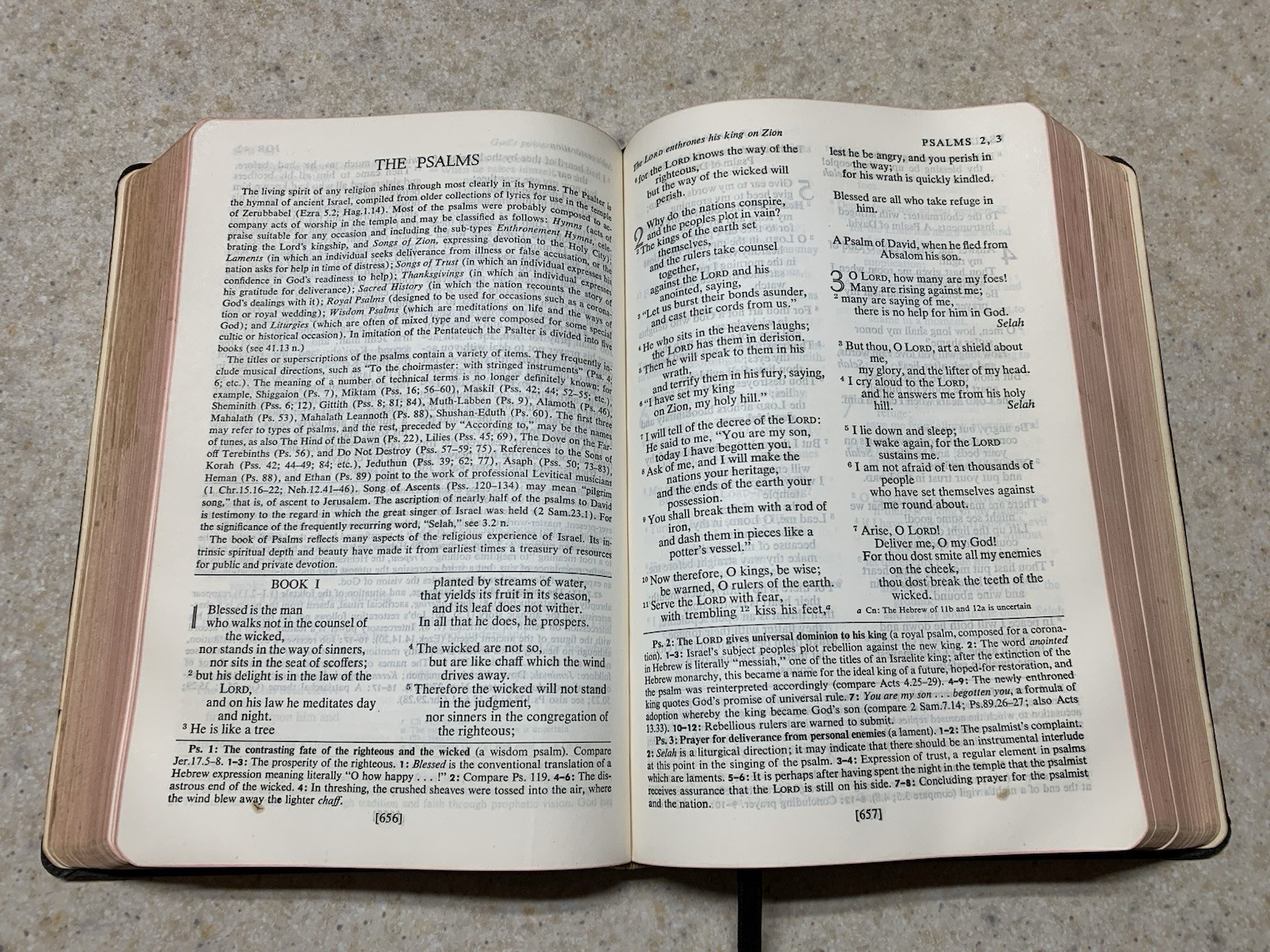 OXFORD ANNOTATED BIBLE RSV Revised Standard Version LEATHER 1962 Old & New Test