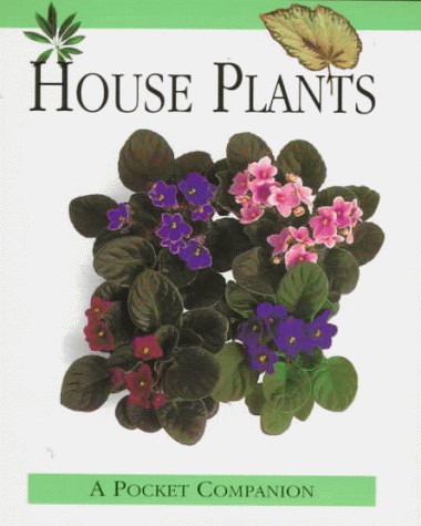 House Plants