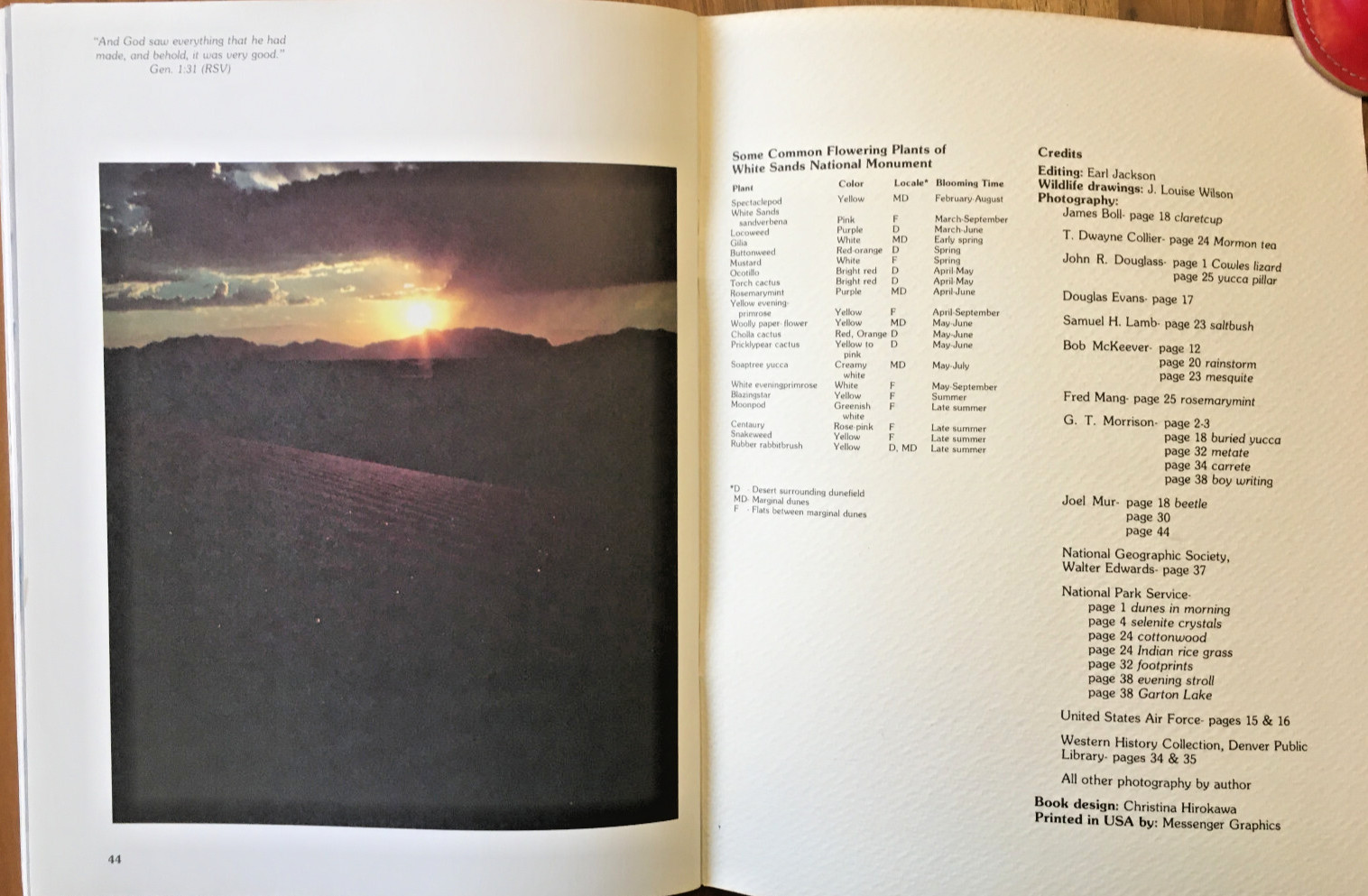 White Sands ~ wind, sand and Time by Richard Atkinson ~ VINTAGE 1977 New Mexico