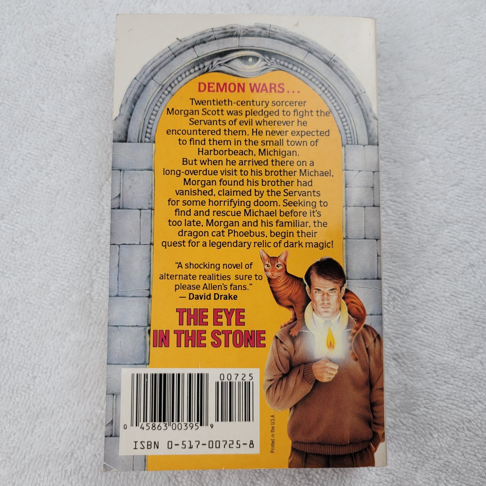 The Eye in the Stone Allen L. Wold 1988 Paperback