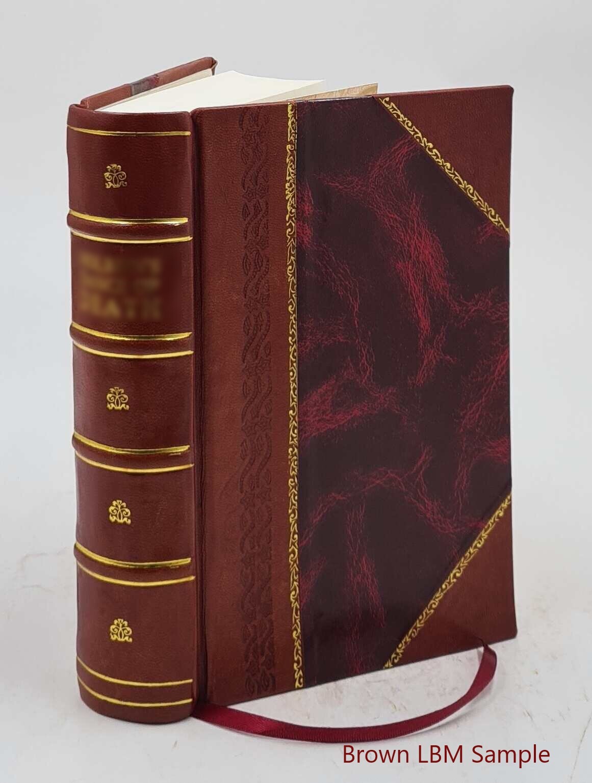 The Footsteps Of St. Peter: Being The Life And Times Of The Apos [Leather Bound]