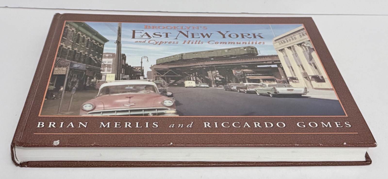 Brooklyn’s East New York and Cypress Hills Communities Merlis and Gomes 2010 HC