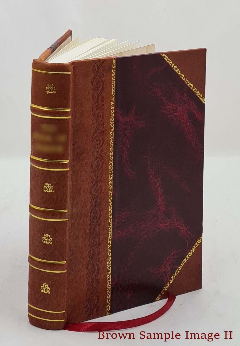 A Plain Introduction To The Criticism Of The New Testament For T [Leather Bound]