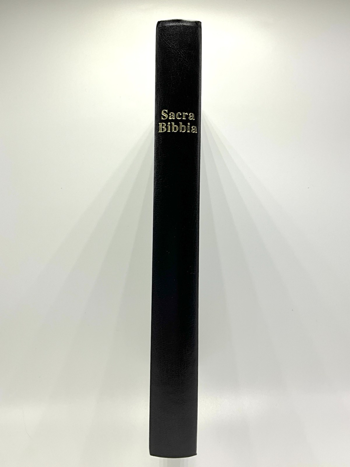 Italian Language Bible, Sacra Bibbia, Reformation-era Diodati, Hardcover