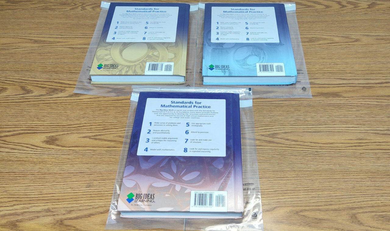 LOT SET OF 3 BIG IDEAS MATH Algebra 1 & 2 & GEOMETRY 9781608408382 9781608408399