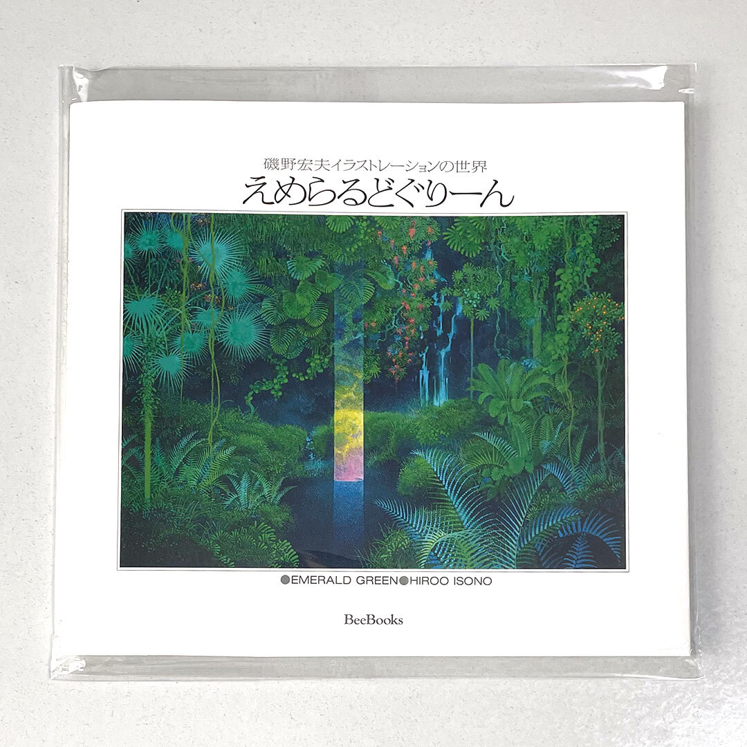 EmeraldGreen Hiroo Isono Japanese Art Book Beautiful Book Japan New