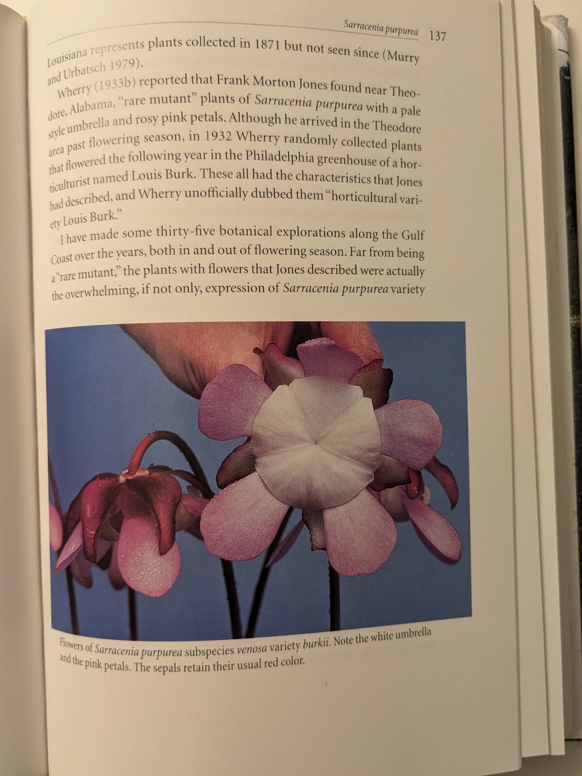 Carnivorous Plants of the United States and Canada by Donald Schnell Very Good