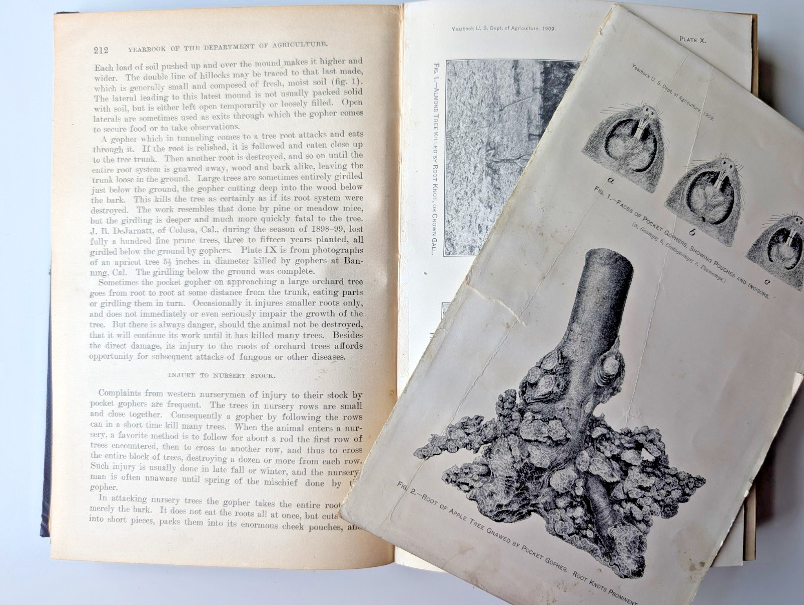 Yearbook of the U.S. Department of Agriculture, 1909 Illustrated Antique HC Book