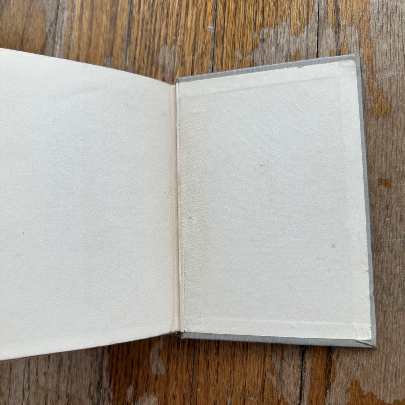 Robert Louis Stevenson WILL O THE MILL Bookplate H.M. Caldwell Co HC 1902
