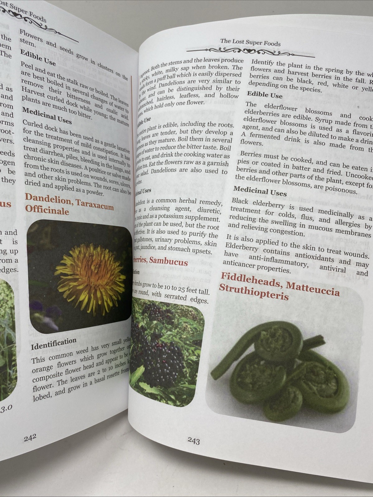 The Lost SuperFoods (2021 Paperback) — 126+ Survival Foods & Tips • Claude Davis