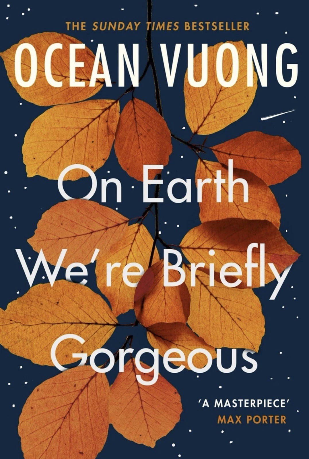 On Earth We’re Briefly Gorgeous: ‘A masterpiece’ – Max… – Vuong, Ocean