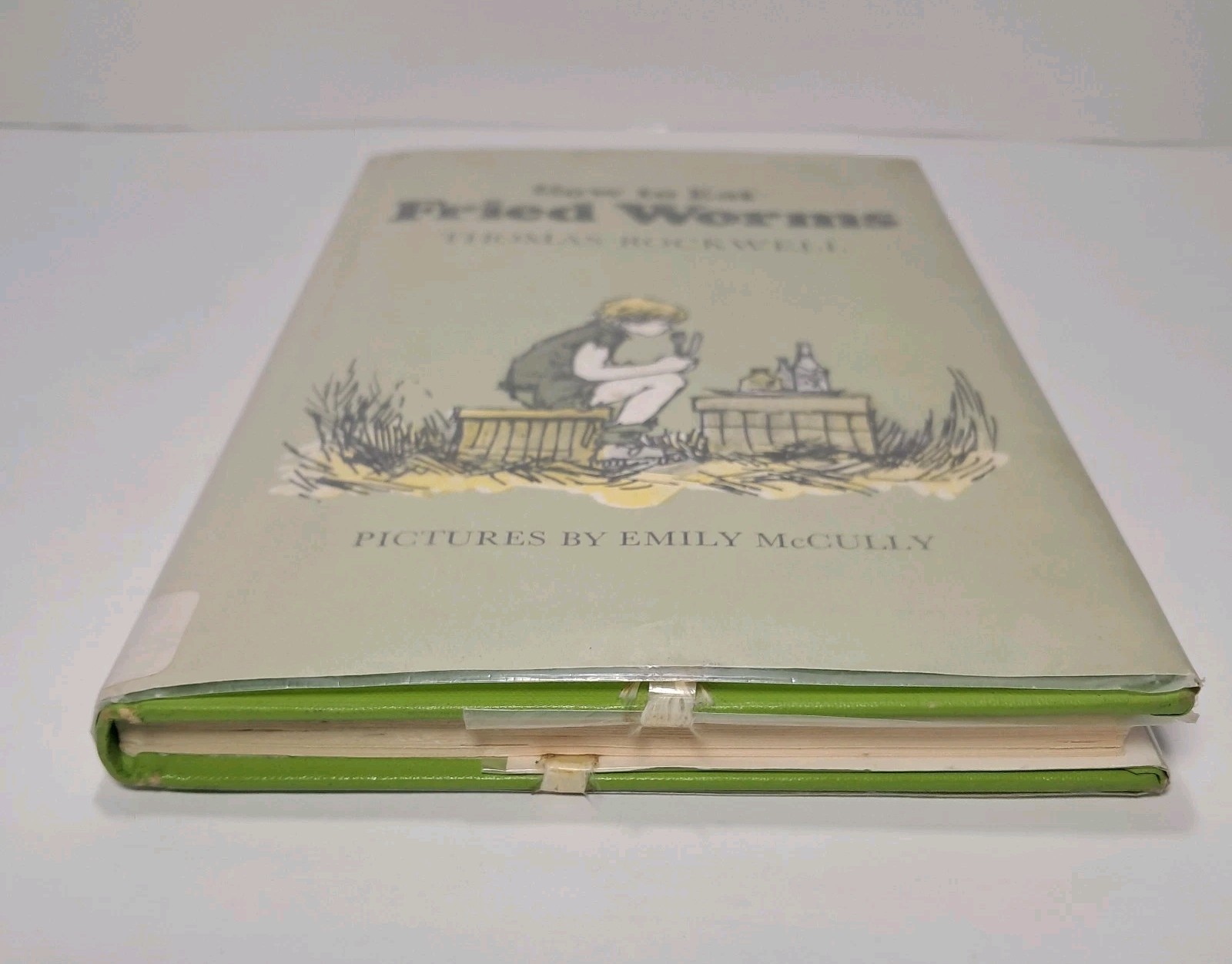 How to Eat Fried Worms by Thomas Rockwell – HC book DJ – 1973 1st Edition