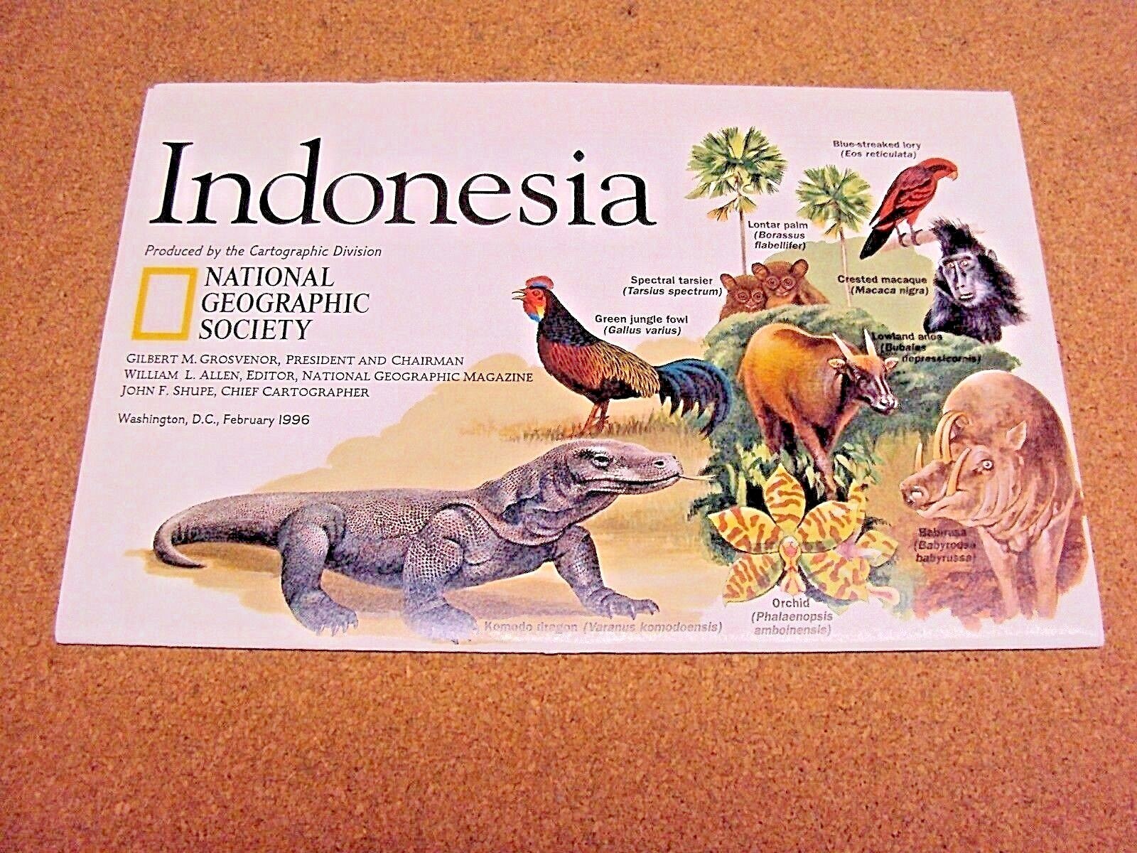National Geographic February 1996 Map Indonesia