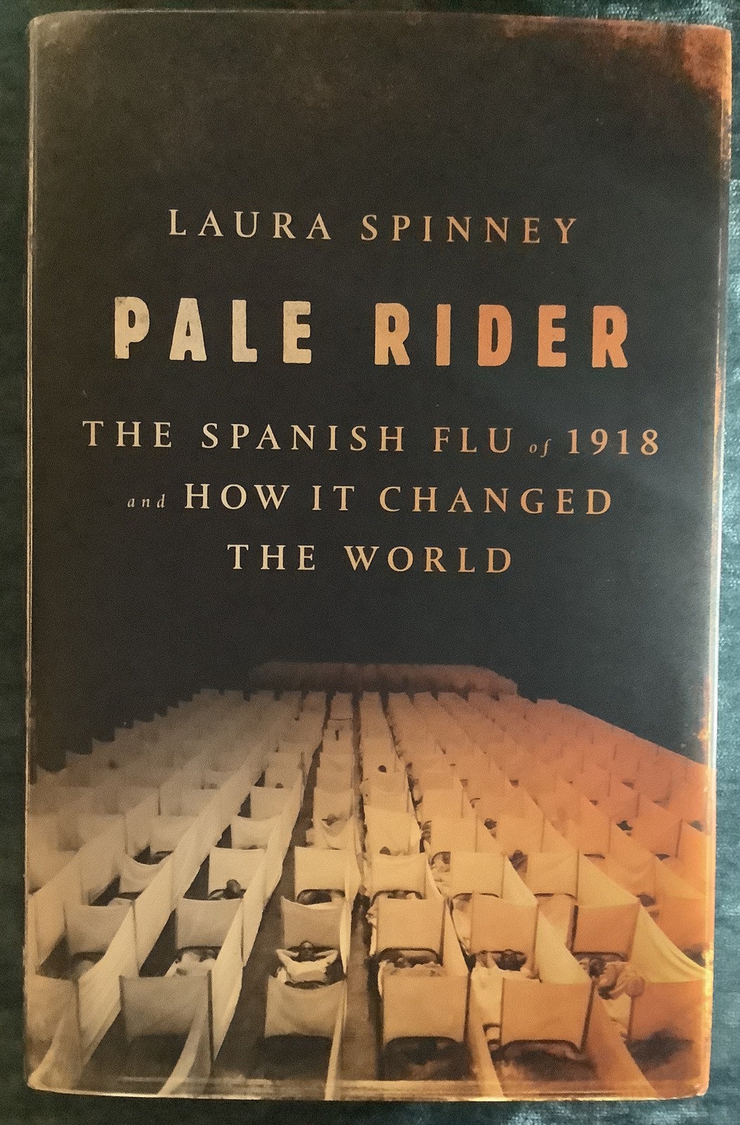 PALE RIDER: SPANISH FLU OF 1918 AND HOW IT CHANGED WORLD, Laura Spinney HCDJ 1st