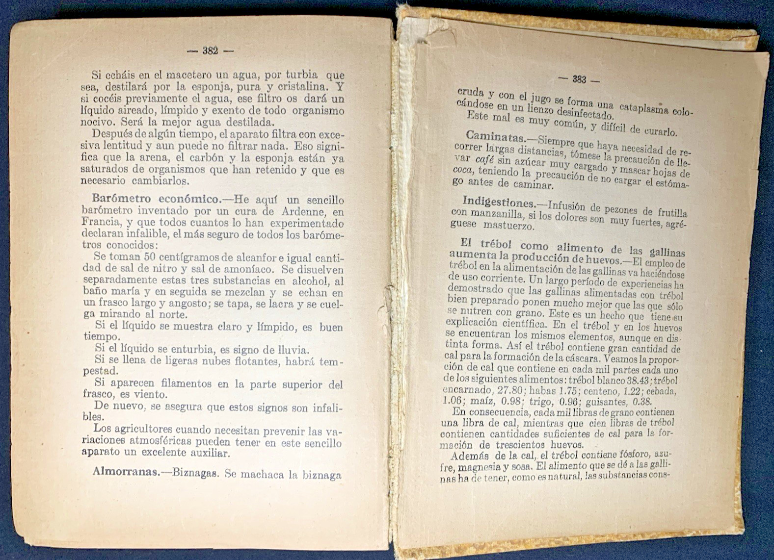 La Tia Pepa Victor Domingo Silva 1939 Santiago de Chile Universo Hardcover