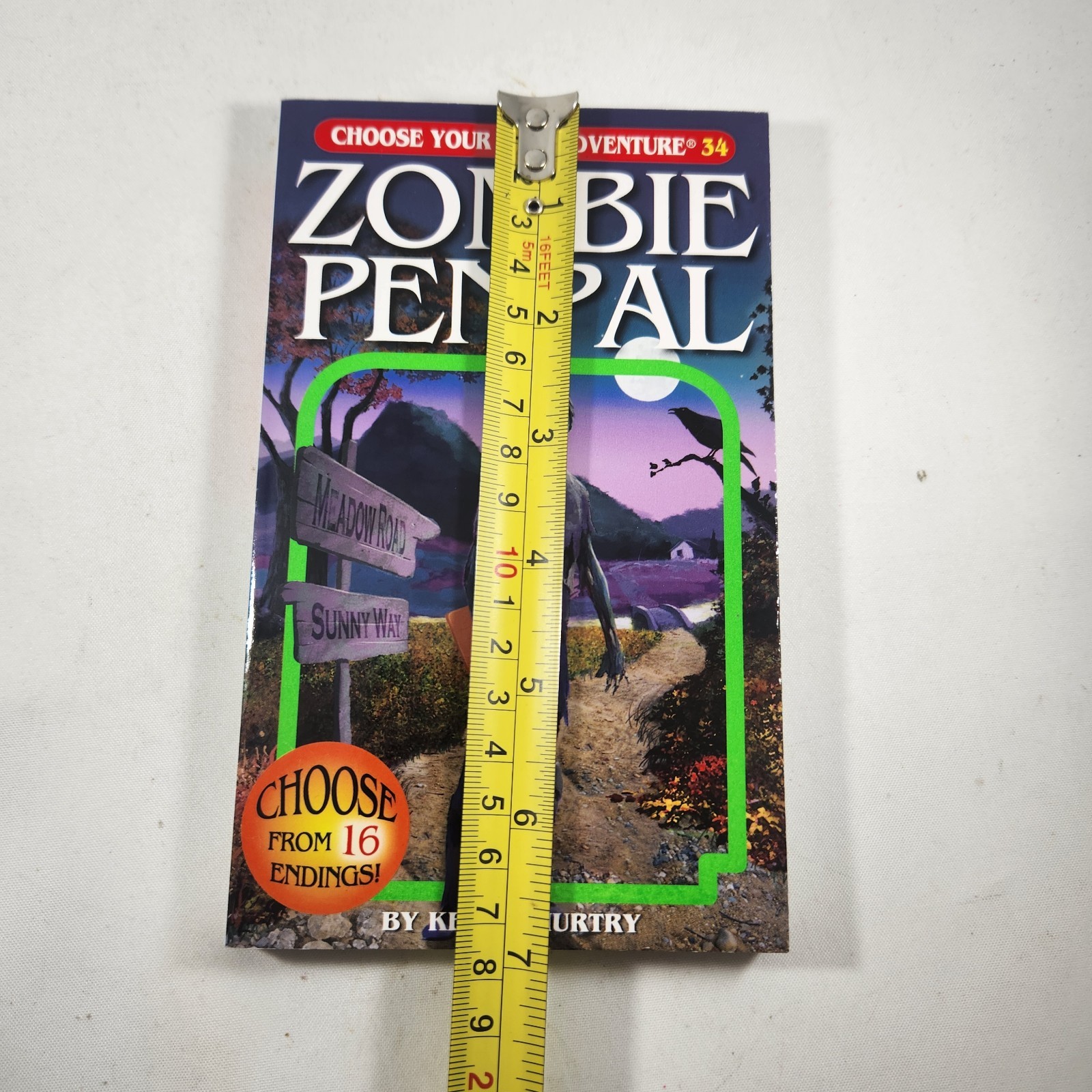 Choose Your Own Adventure Book Zombie Penpal Paperback Book
