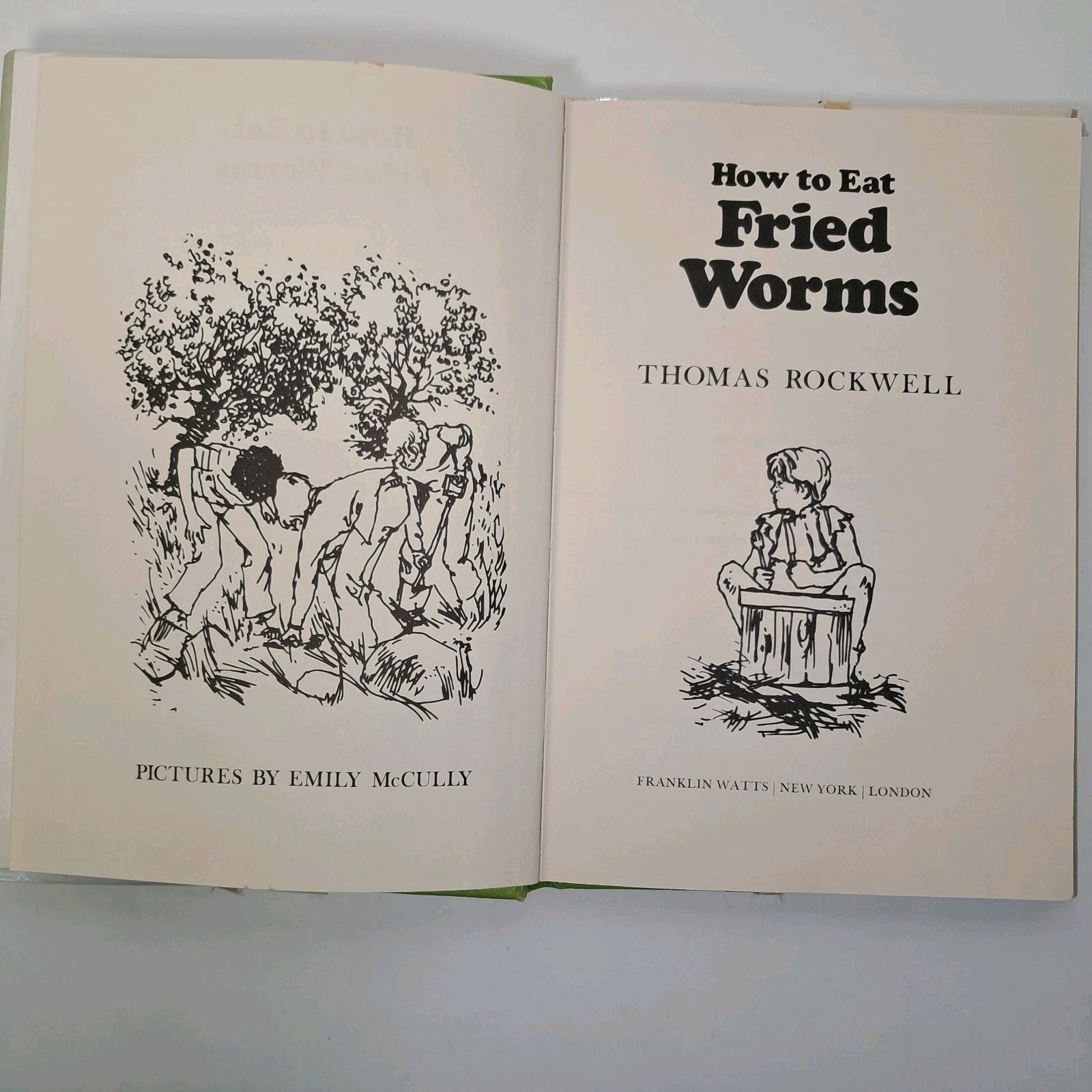How to Eat Fried Worms by Thomas Rockwell – HC book DJ – 1973 1st Edition