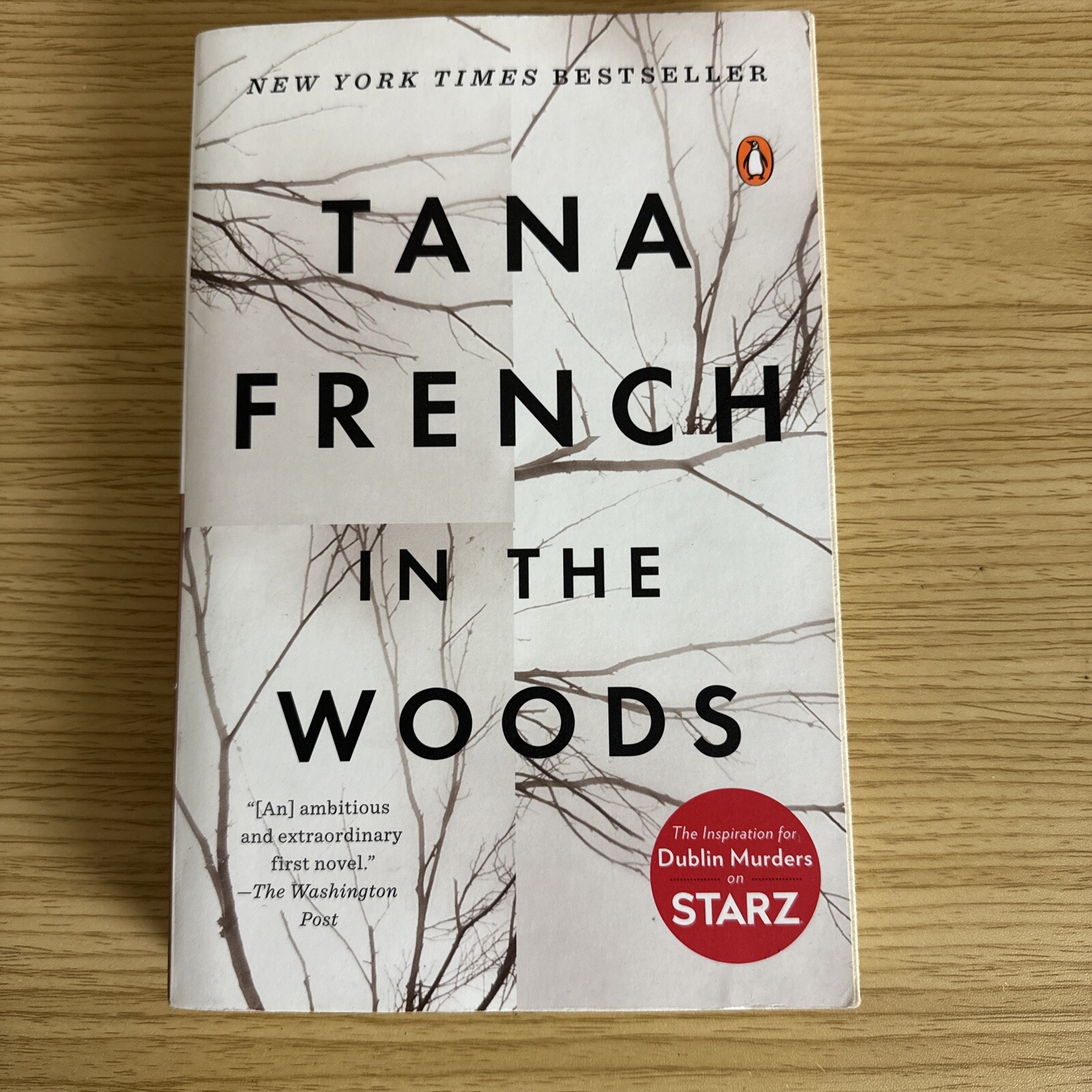 Dublin Murder Squad Ser.: In the Woods : A Novel by Tana French (2008, UK-B…