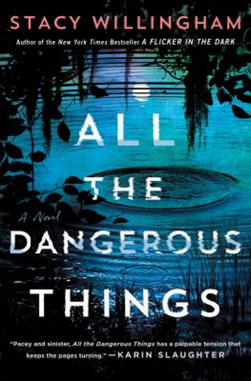 All the Dangerous Things : A Novel Hardcover Stacy Willingham