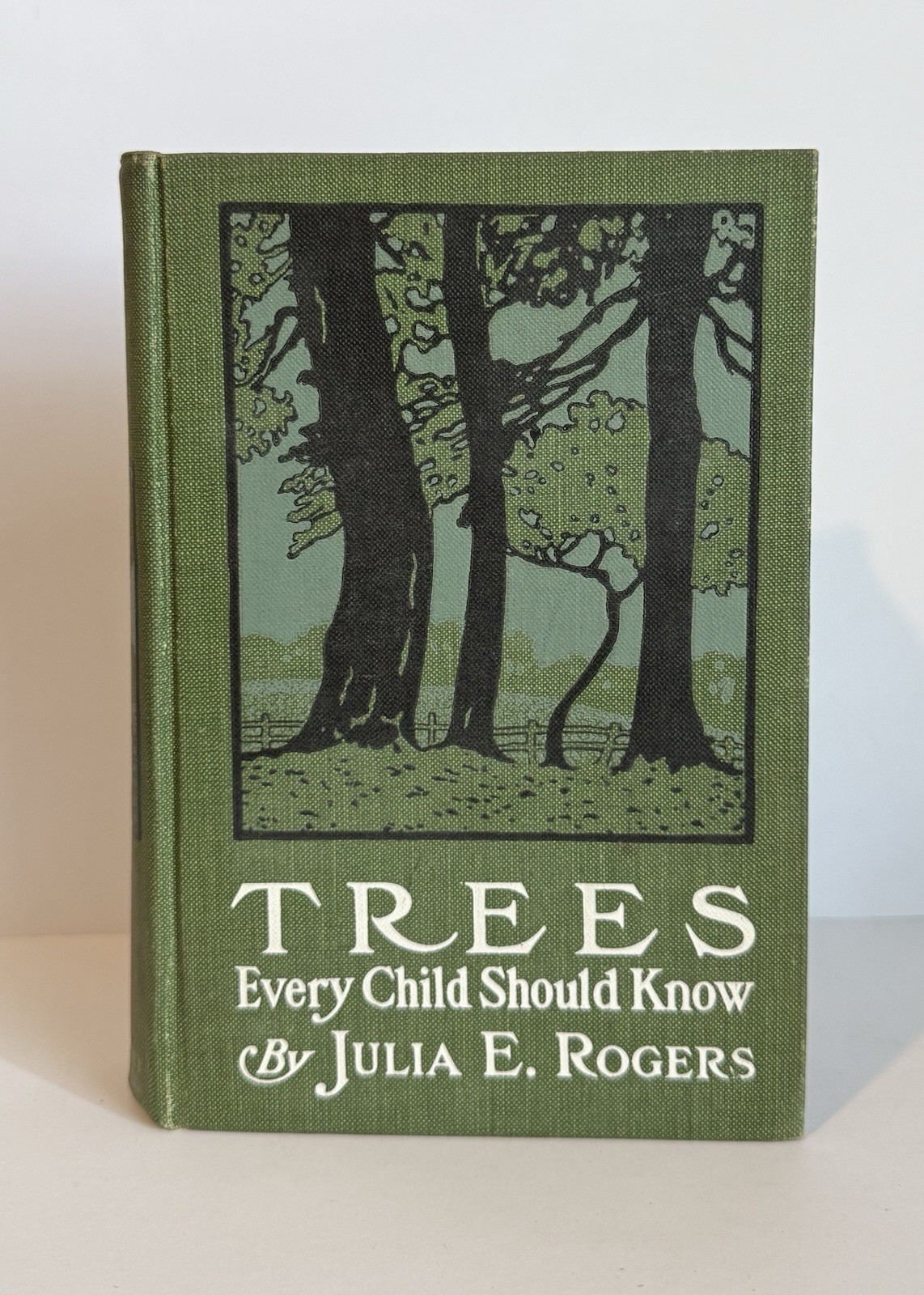 Trees Every Child Should Know by Julia E. Rogers 1909 Illustrated