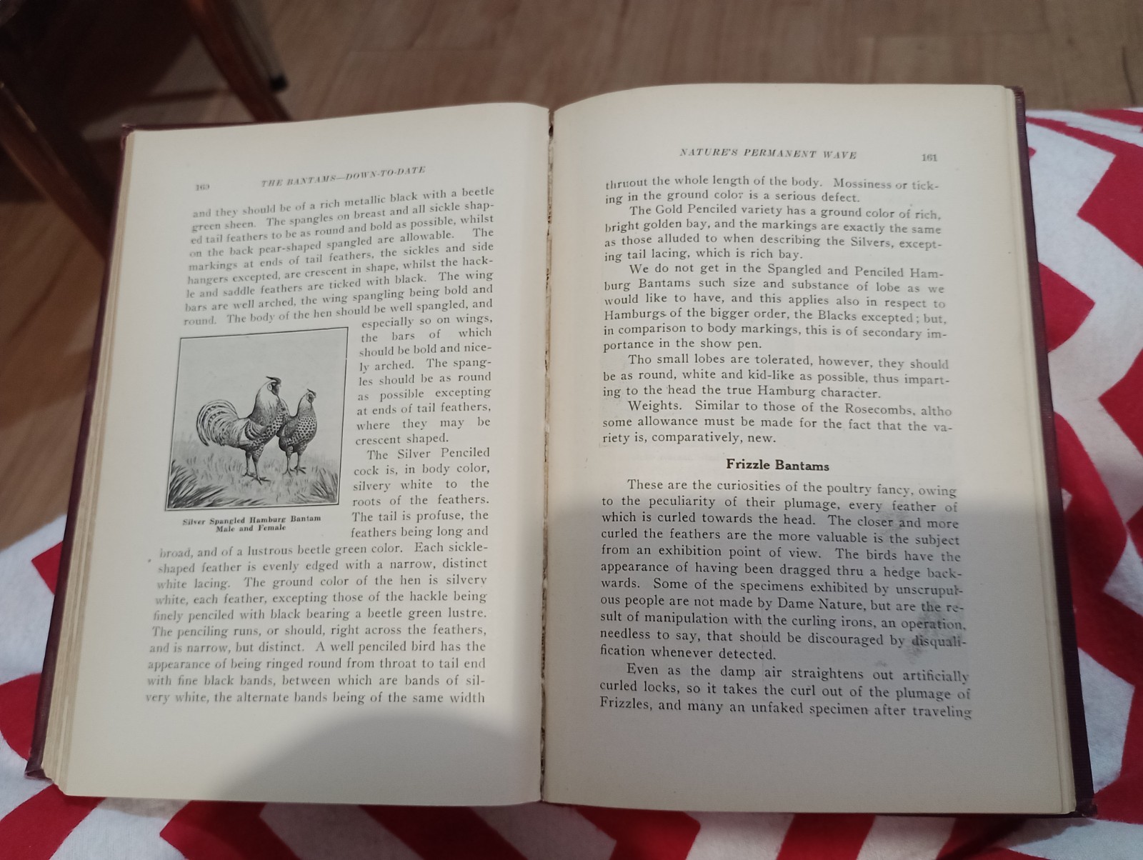 The BANTAMS Down to Date JOSEPH SHAKESPEARE : Antique 1925 Illustrated Hardcover