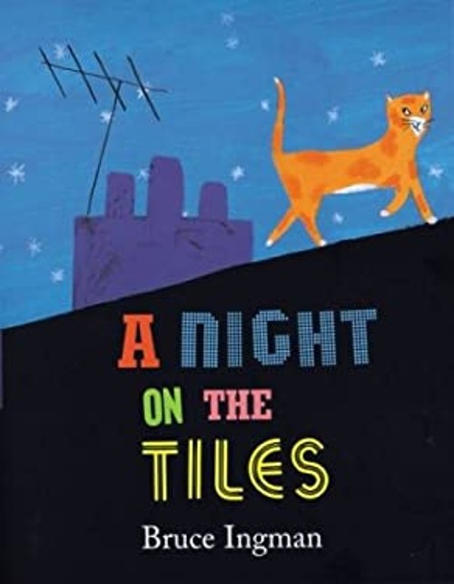 A Night on the Tiles Hardcover Bruce Ingman