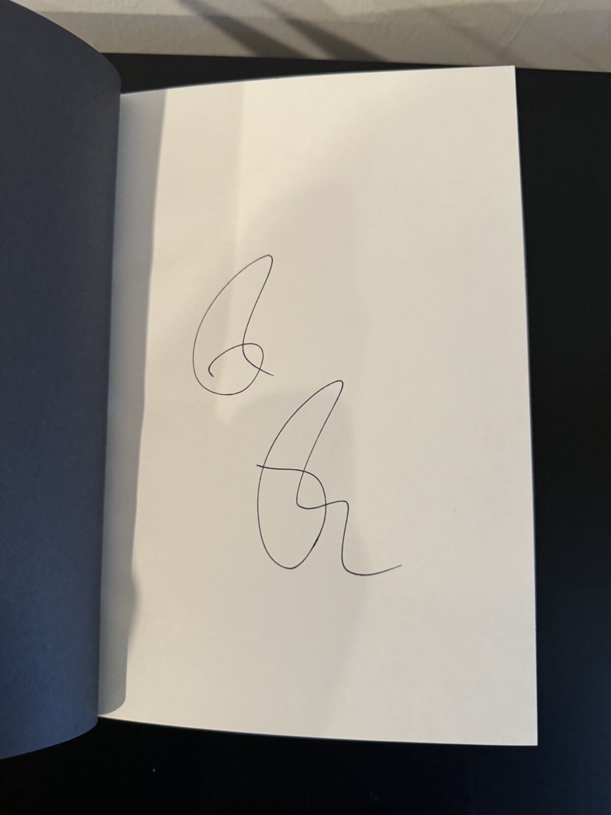 ✅ RICK RUBIN SIGNED The Creative Act A Way of Being US edition Penguin Signed