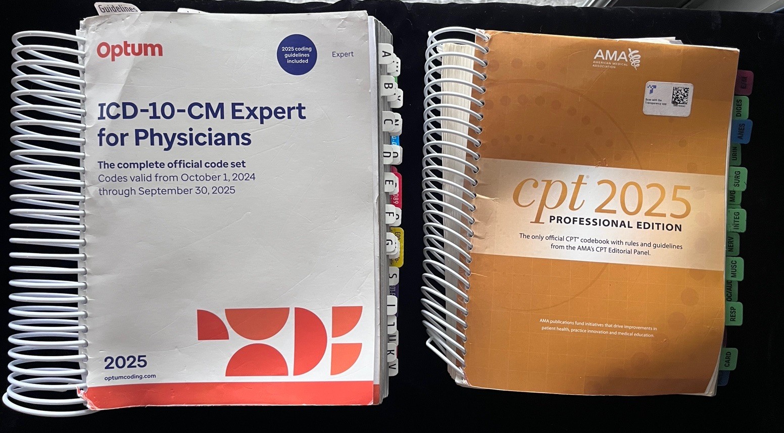 ICD-10-CM Expert Physicians 2025 & CPT Professional edition 2025 Bundle lot