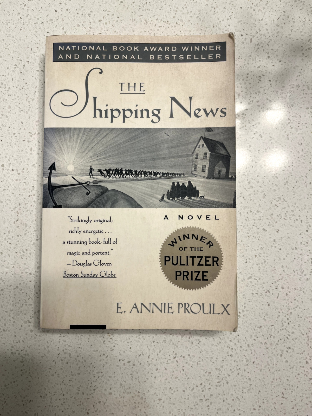 The Shipping News by Annie Proulx (1994, Paperback Book) Pulitzer Prize Winner