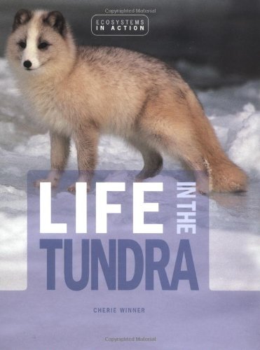 Life in the Tundra (Ecosystems – Library Binding – VERY GOOD