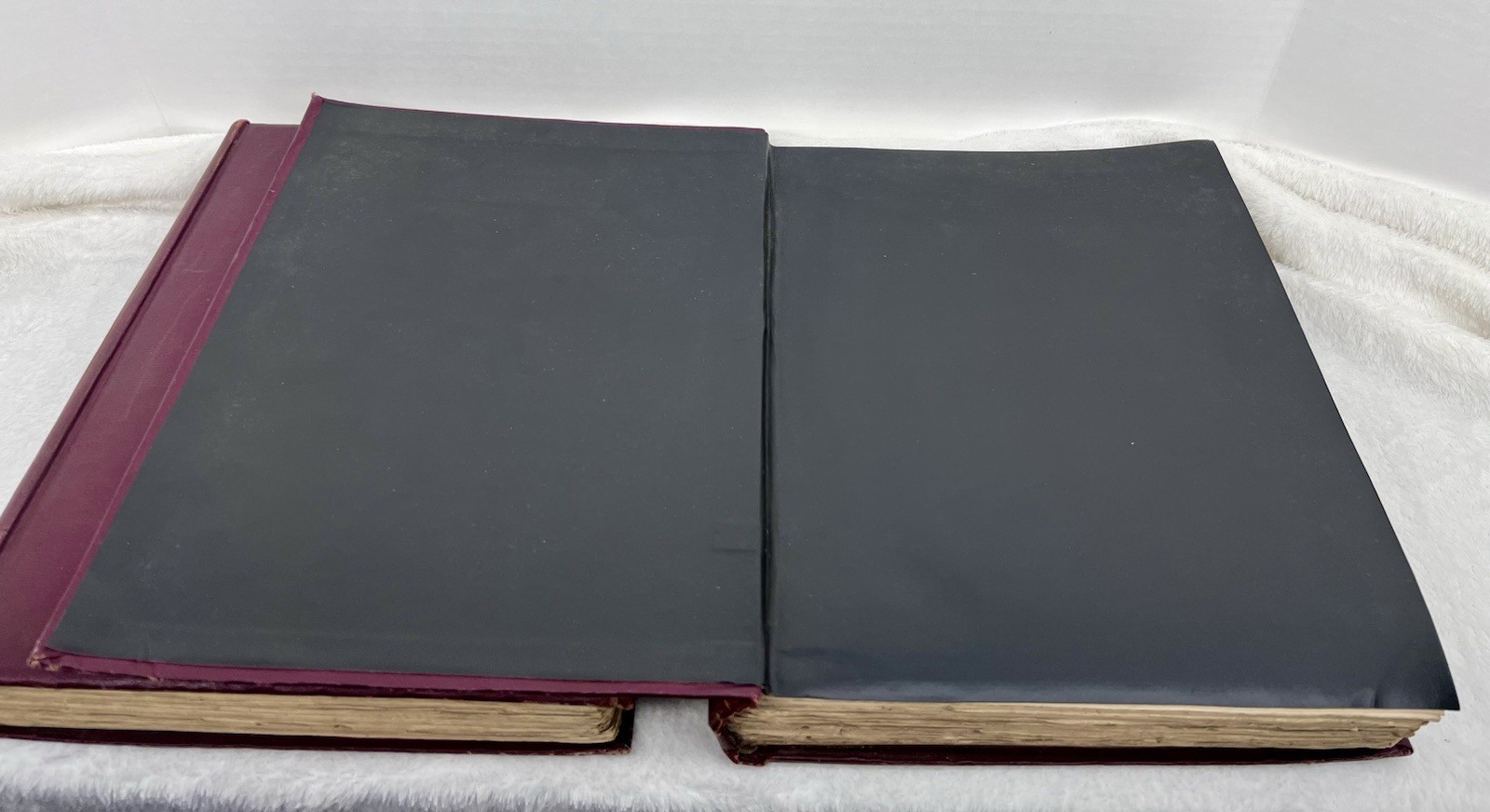 The Hermetic & Alchemical Writings of Paracelsus – First Edition – 1894 – 2 VOL.