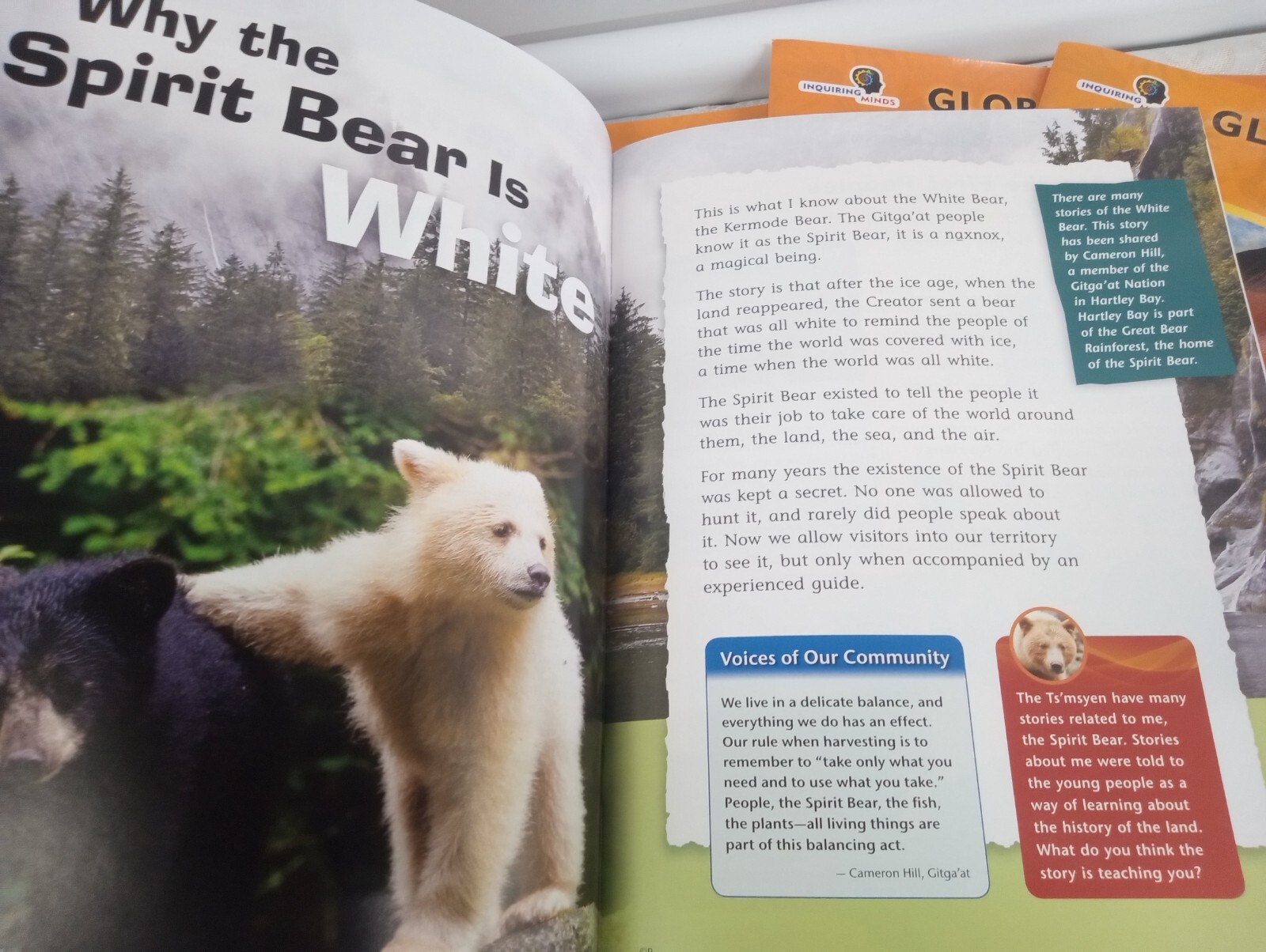 Pearson Inquiring Minds Global Indigenous Peoples Series Grade 3 Social Studies
