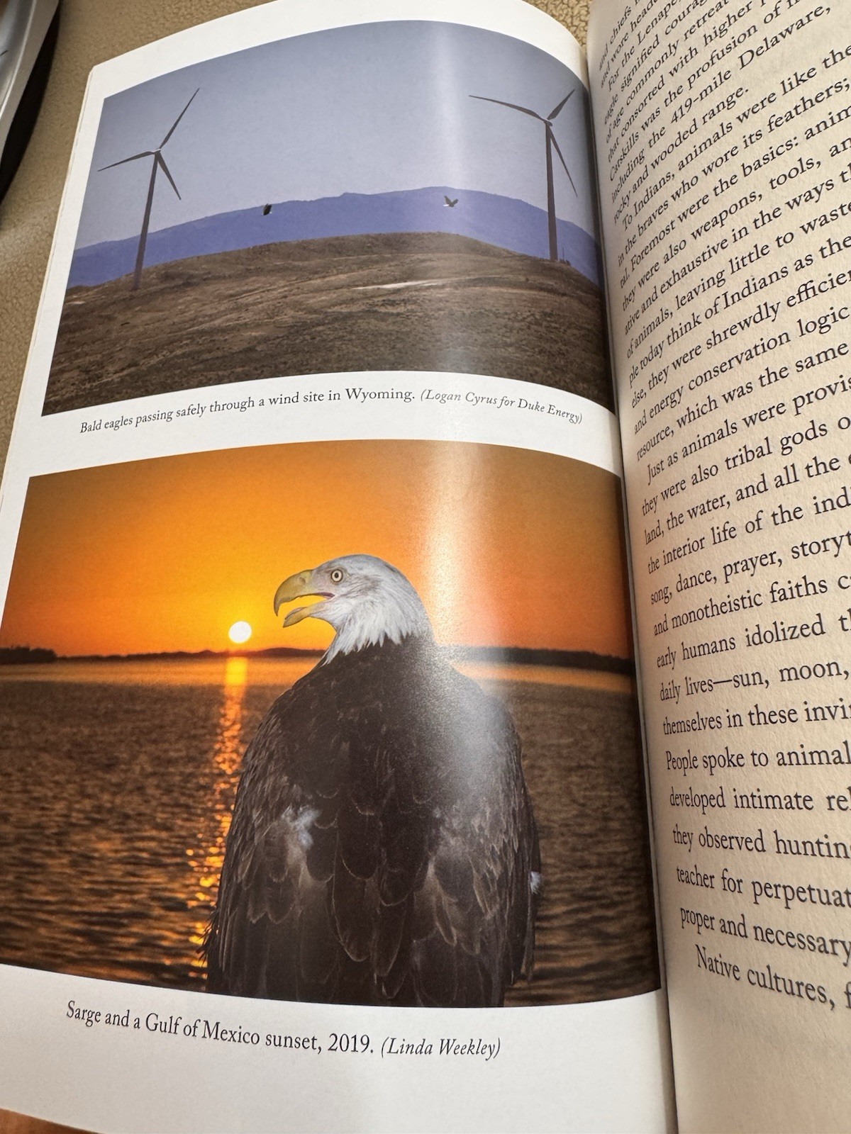 The Bald Eagle Jack E. Davis SIGNED 1st/1st Hardcover w/DJ Pulitzer Winner