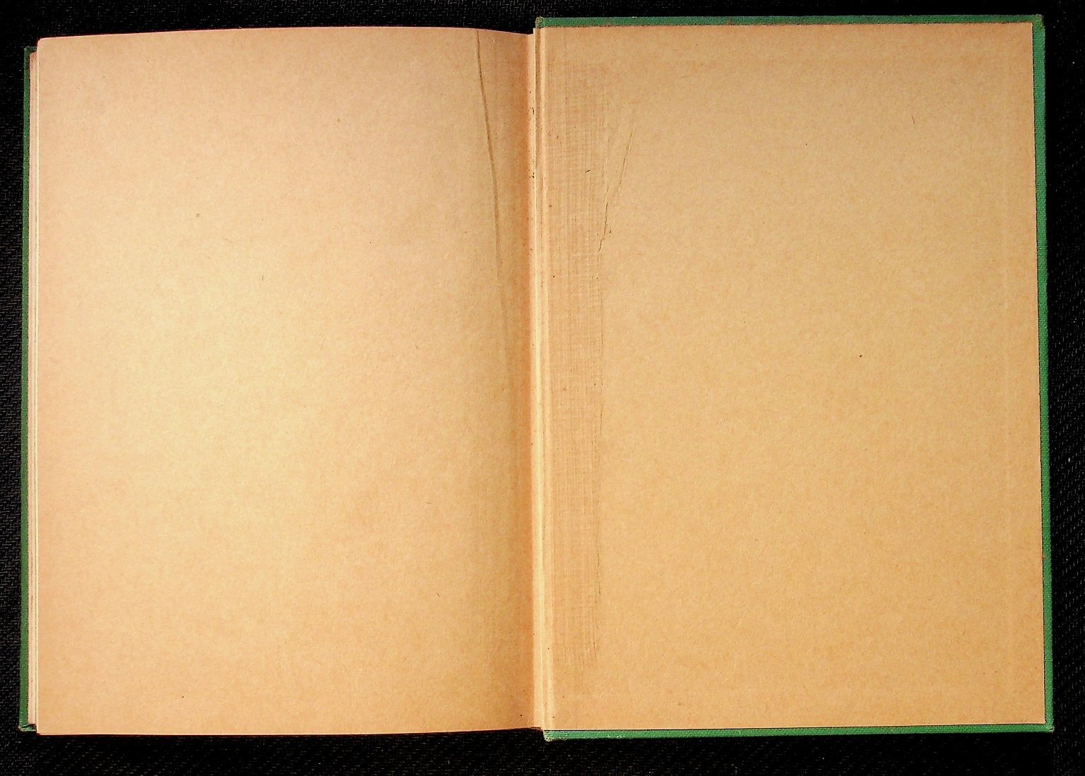 How We Are Fed Chamberlain 1925 Macmillan Home & World Series Geography Reader