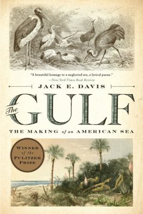 The Gulf : The Making of an American Sea Paperback Jack E. Davis