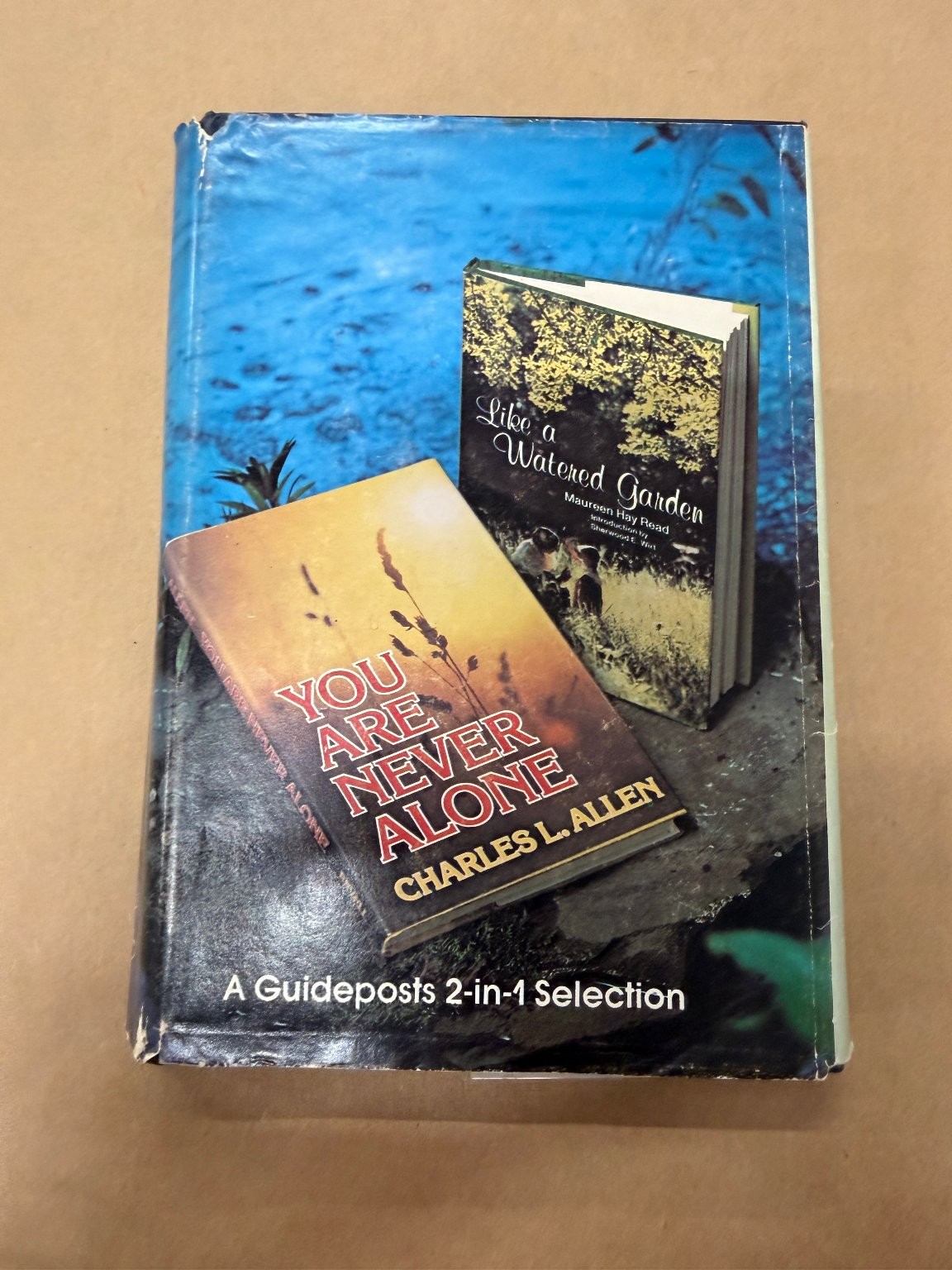 YOU ARE NEVER ALONE Charles L. Allen / Like a Watered Garden 2-in-1 Book